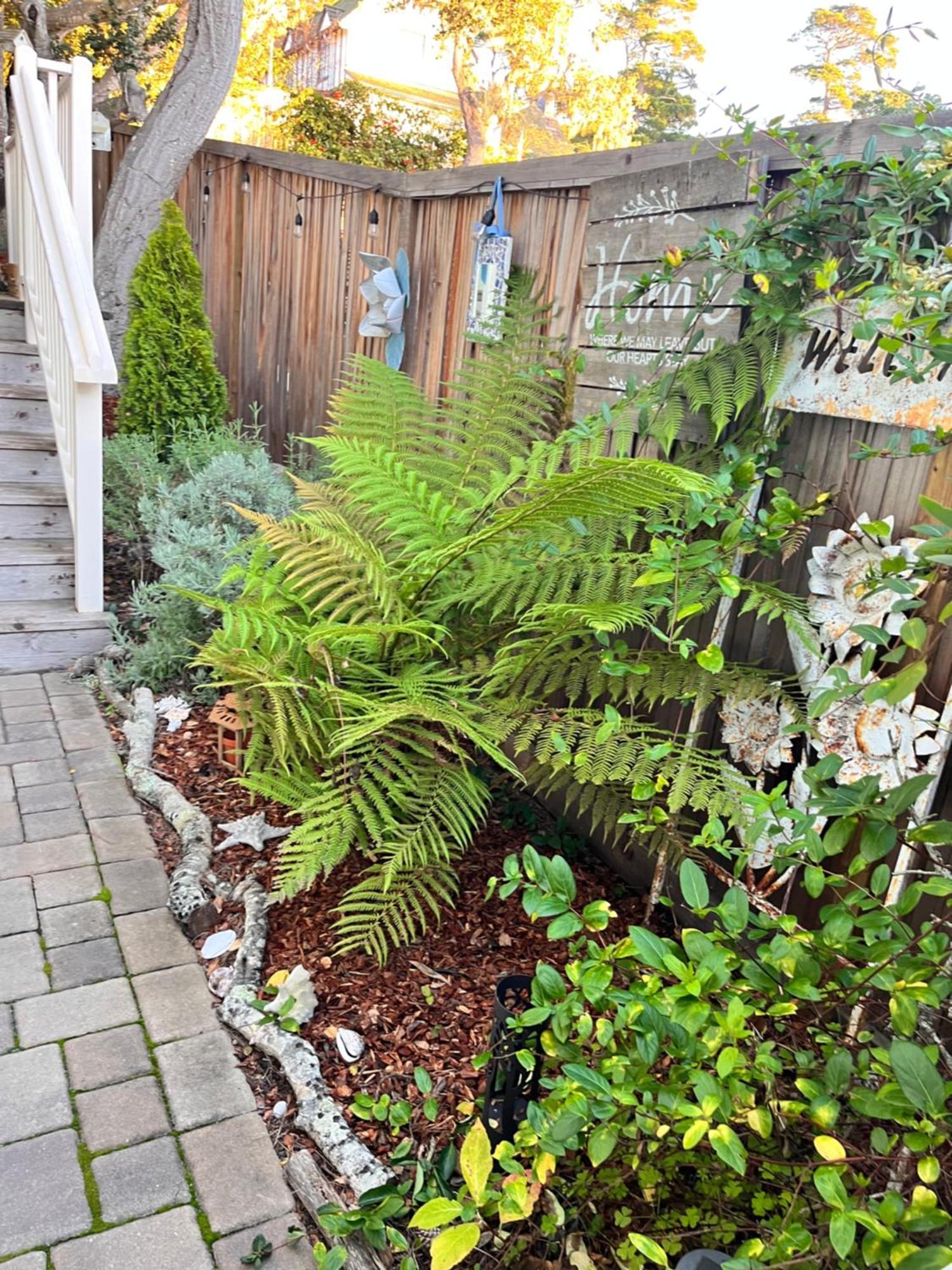 Ferienhaus Gorgeous 3-bdrm Home, Walk To Town And Carmel-by-the-Sea